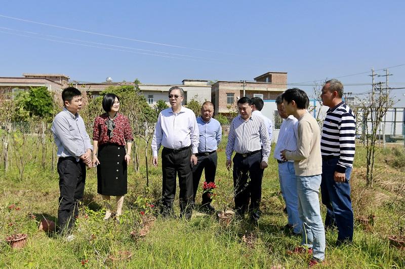 山角村委会最新发展规划，推动乡村繁荣与振兴的战略布局，山角村委会战略规划，推动乡村繁荣与振兴的新布局