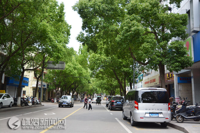 小街街道最新交通新闻及其影响，小街街道最新交通新闻及其社会影响分析