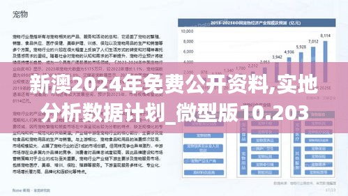 新澳2024正版资料免费公开,统计分析解析说明_WP91.916