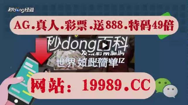 2024新澳门天天开奖攻略,专业分析解释定义_专家版36.309