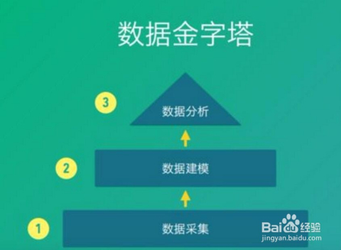 澳门管家婆资料一码一特一,数据决策执行_专属款63.189