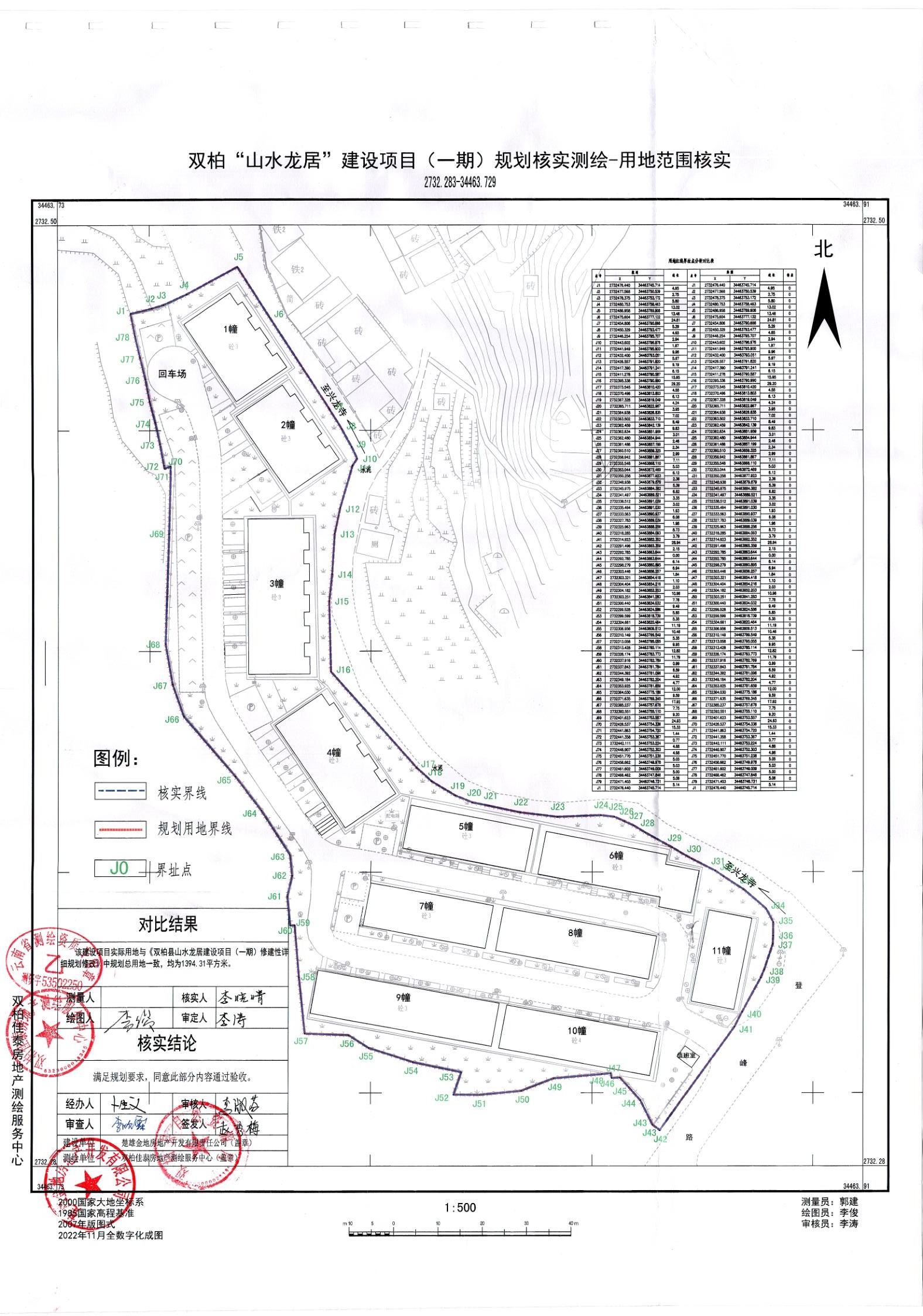 尼玛县自然资源和规划局最新项目，探索与解析