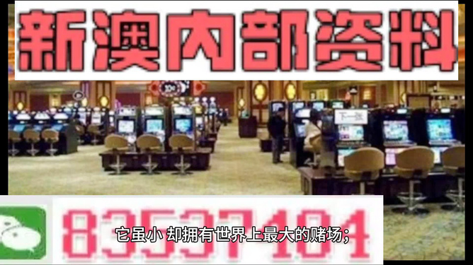 2024新澳精准正版资料,灵活设计操作方案_进阶版99.343