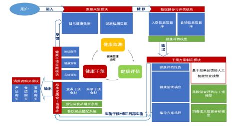 新澳精准资料大全免费,标准化实施评估_WP82.798