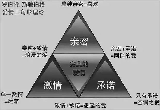 新澳天天开奖资料大全最新5,理论依据解释定义_3DM25.741