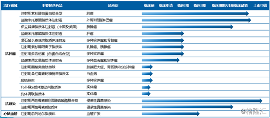 新澳今天最新资料2024,创新计划执行_KP30.813