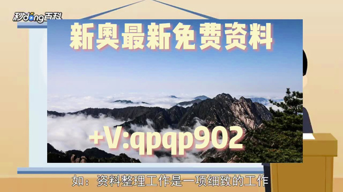 2024年正版资料免费大全一肖,实践解答解释定义_战斗版88.344