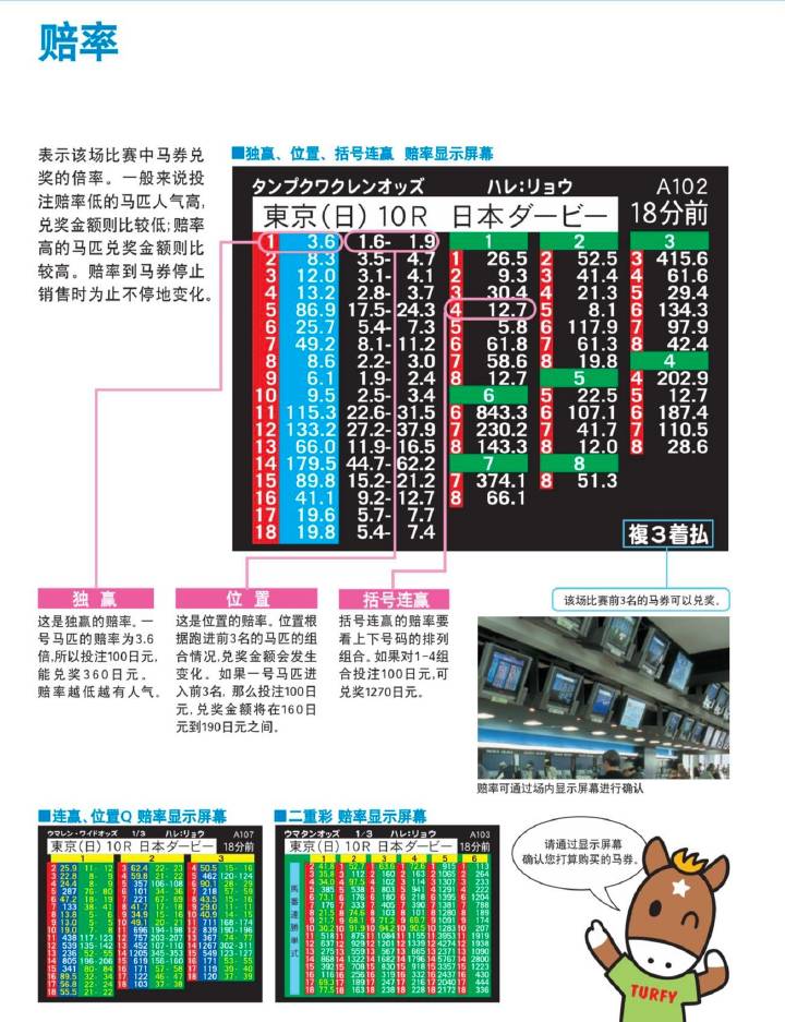 132688.соm马会传真查询,预测解答解释定义_轻量版34.24