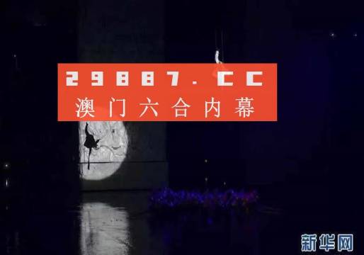 今晚澳门特马开的什么号码,实践解析说明_理财版43.611