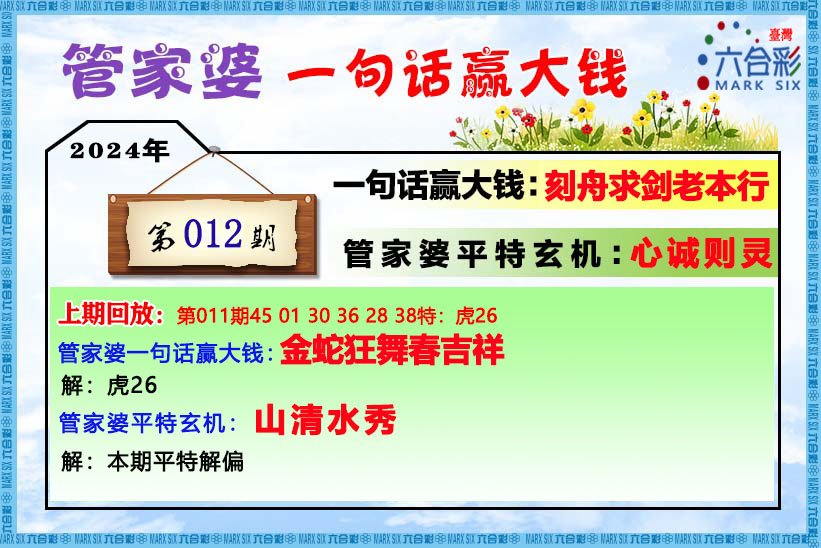 管家婆的资料一肖中特46期,实践解析说明_户外版135.91