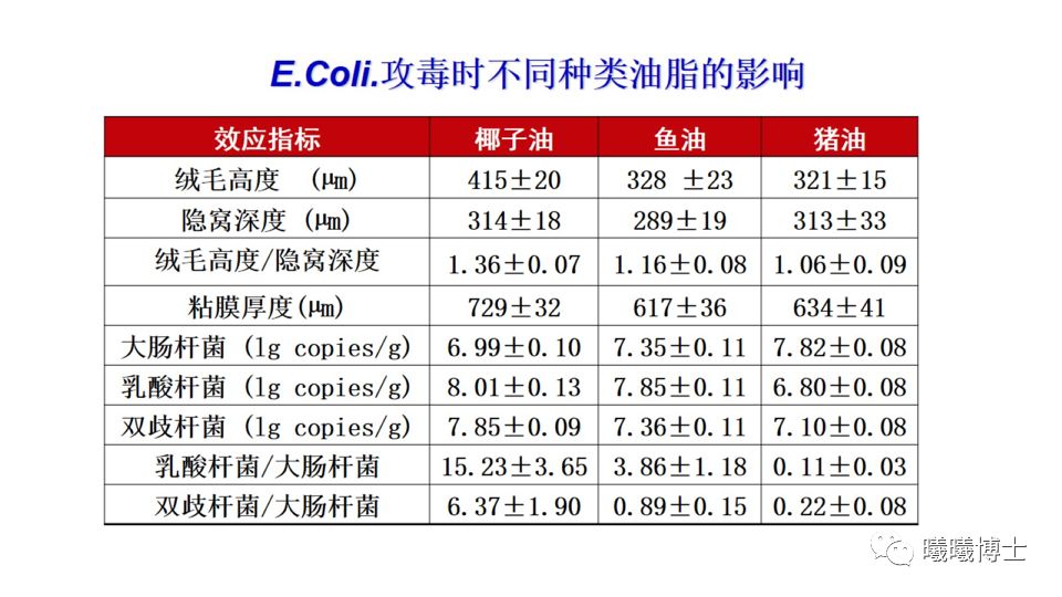 精准一肖100准确精准的含义,市场趋势方案实施_nShop64.267