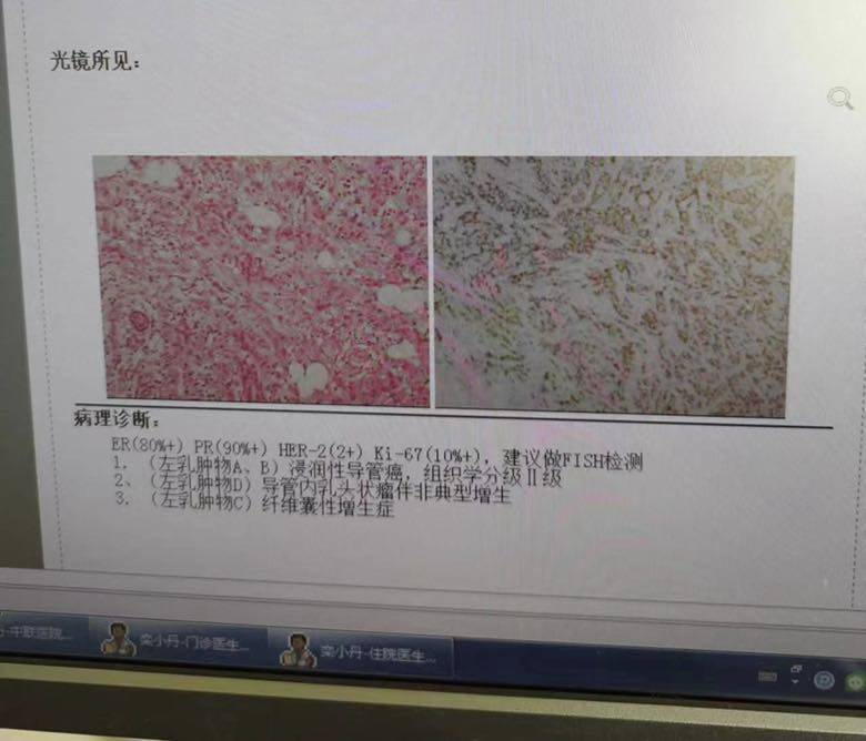 最新病理研究，探索疾病奥秘的新发现，最新病理研究揭示疾病新奥秘，探索未知领域的新发现